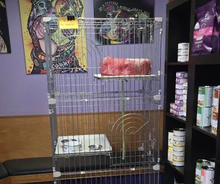 Natural Vet for Pets P.C.