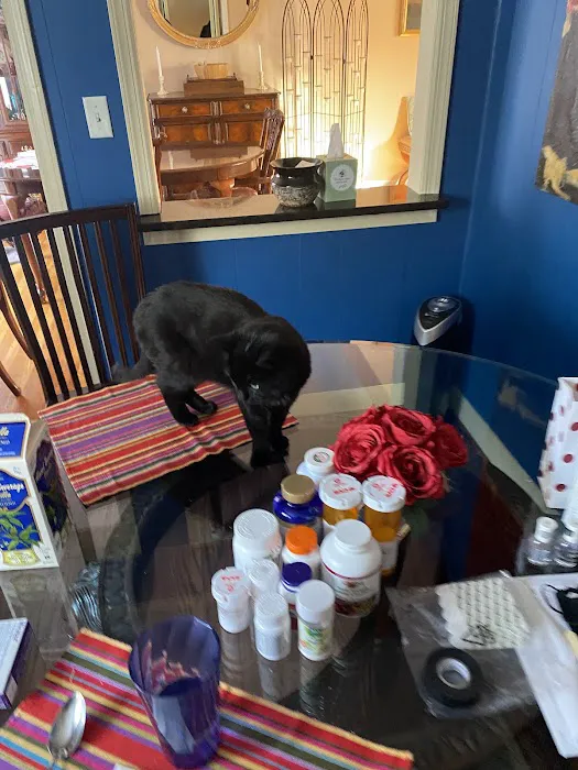 Natural Vet for Pets P.C. Picture 5