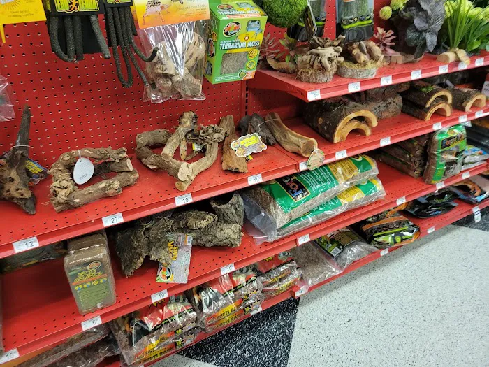 Petco Picture 7