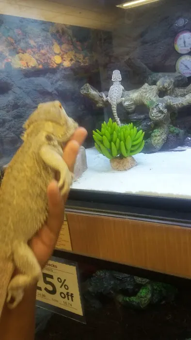 Petco Picture 1