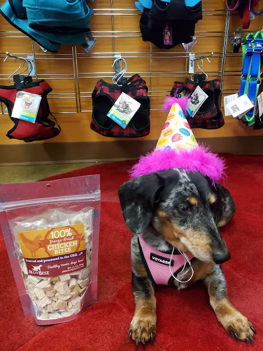 All The Best Pet Care - Issaquah Picture 2