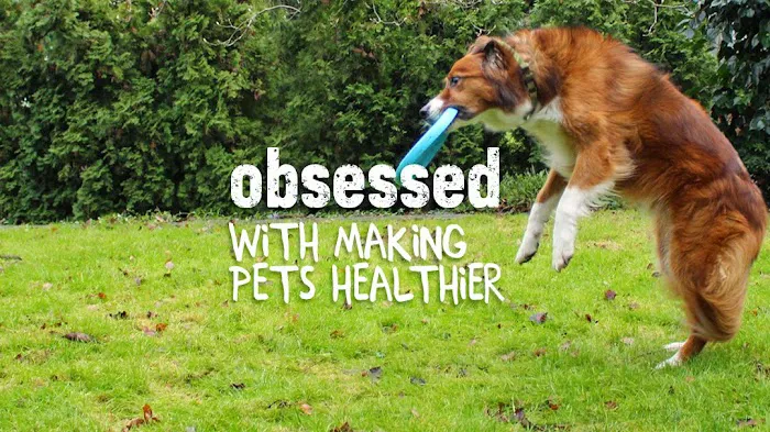 All The Best Pet Care Picture 2