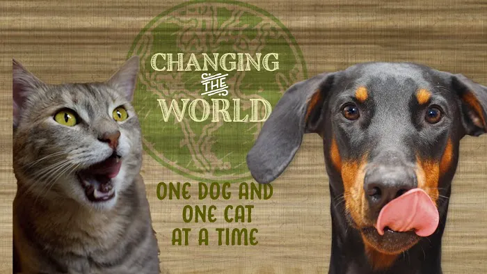 All The Best Pet Care Picture 3