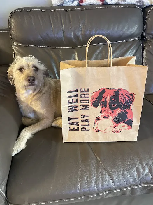 All The Best Pet Care Picture 8