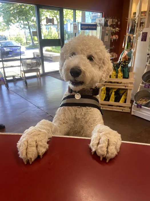 All The Best Pet Care Picture 5