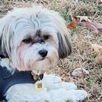 Bergen Veterinary Hospital ico