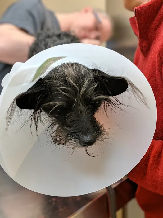 Bergen Veterinary Hospital Picture 9