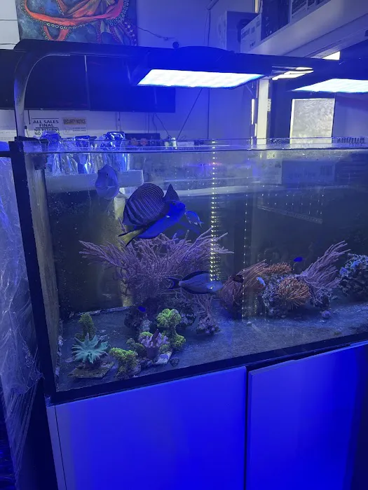 Sea King Aquariums Picture 4