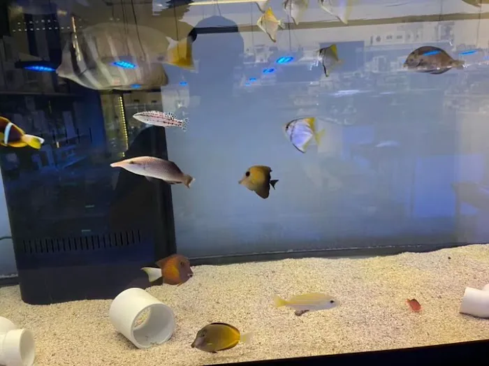Sea King Aquariums Picture 2