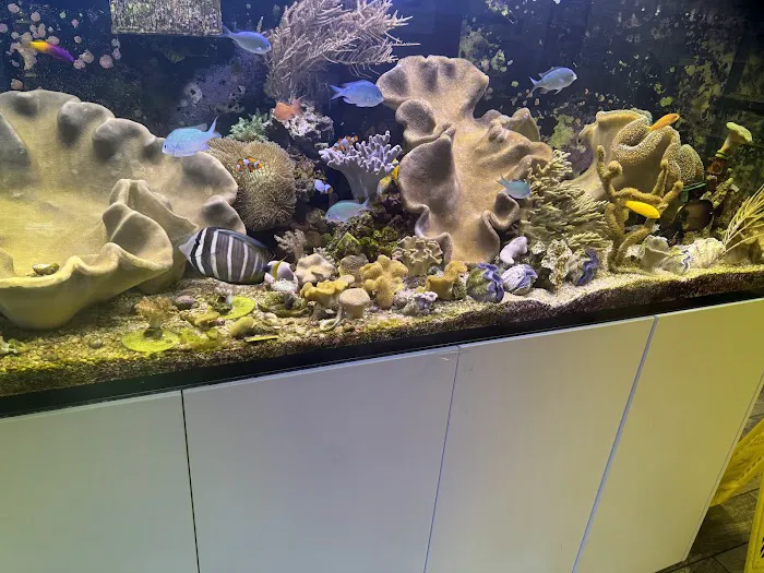 Sea King Aquariums Picture 6