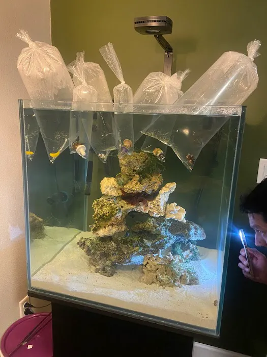 Sea King Aquariums Picture 5
