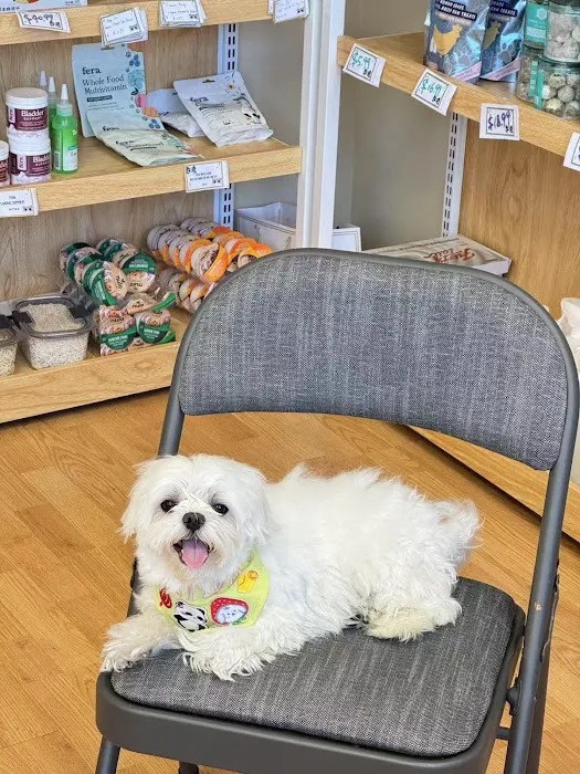 Pawsitive Dreams Pet Store Picture 5