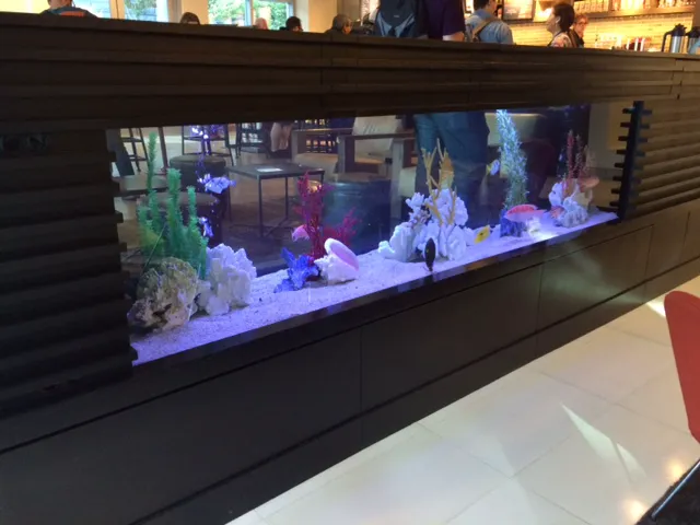Clayton Aquarium Corporation Picture 1