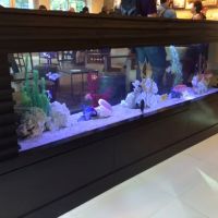 Clayton Aquarium Corporation ico
