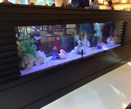 Clayton Aquarium Corporation