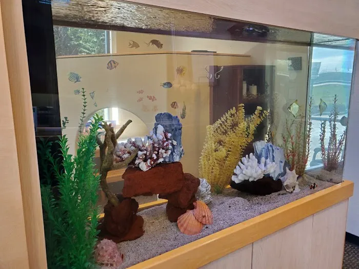 Clayton Aquarium Corporation Picture 4