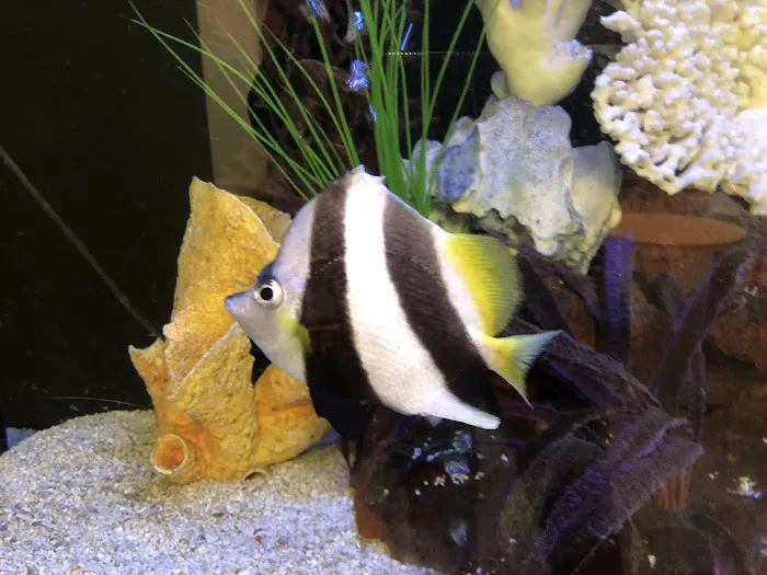Clayton Aquarium Corporation Picture 3
