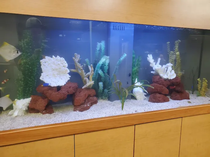 Clayton Aquarium Corporation Picture 9