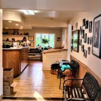 Twin Oaks Veterinary Hospital ico