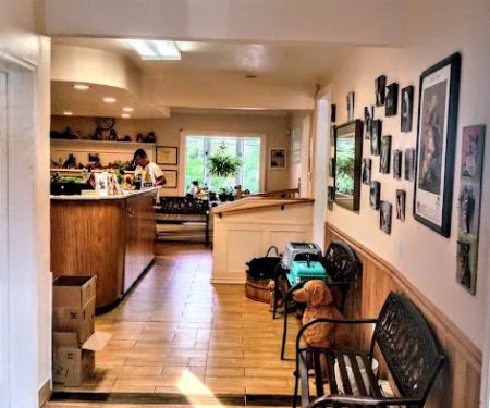 Twin Oaks Veterinary Hospital