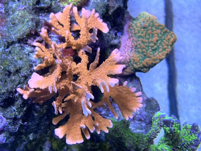 Saltwater City Picture 2