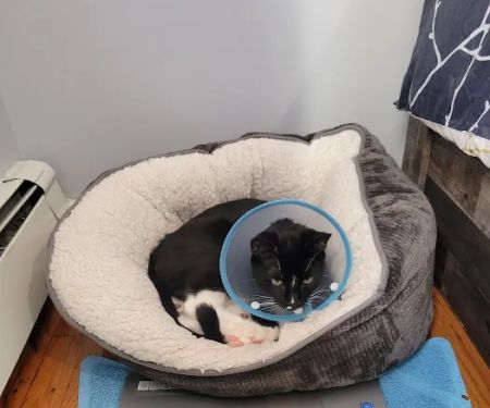 Overpeck Creek Animal Hospital