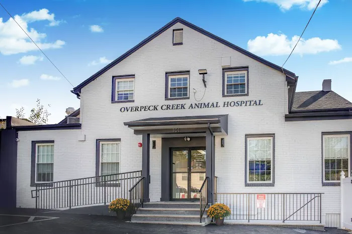 Overpeck Creek Animal Hospital Picture 5