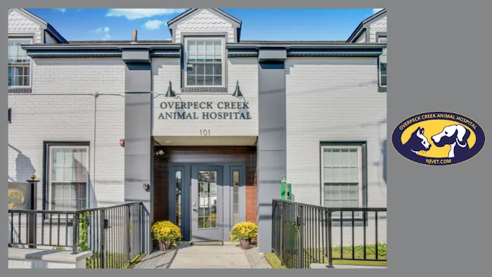 Overpeck Creek Animal Hospital Picture 9