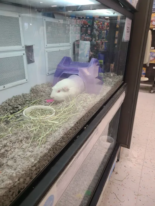 Petco Picture 6