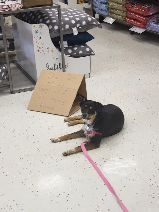 Petco Picture 5