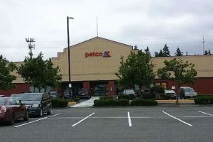 Auto Service Center