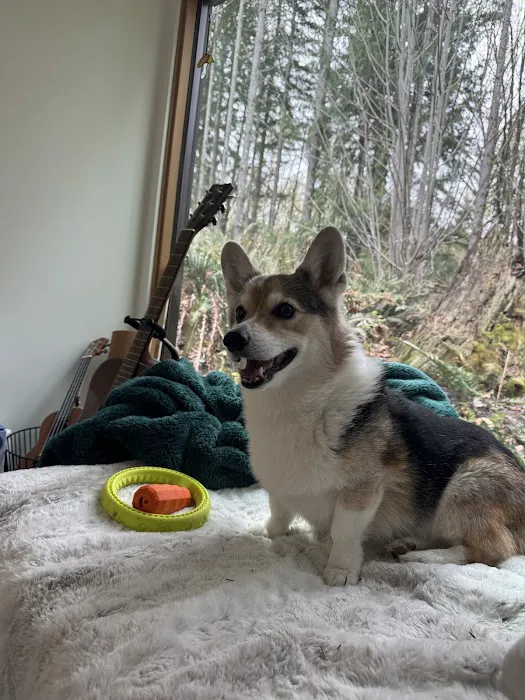 Pet Wants Edmonds Picture 5