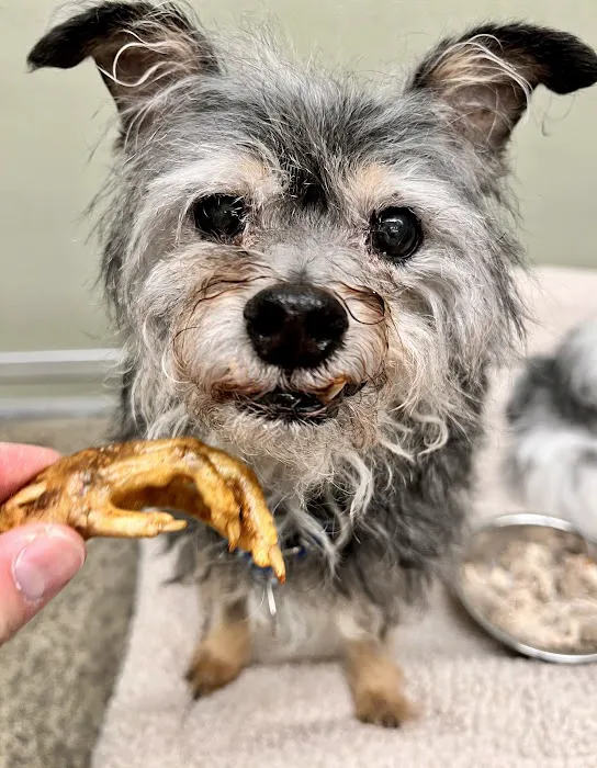 The Seattle Barkery Picture 2