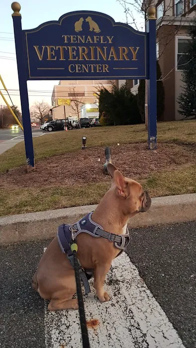 Tenafly Veterinary Center Picture 7
