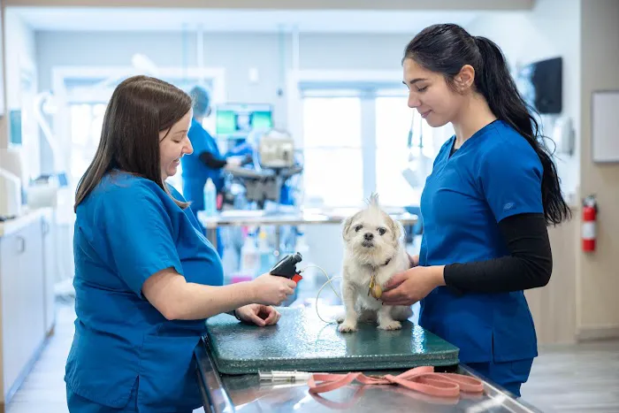 Tenafly Veterinary Center Picture 5