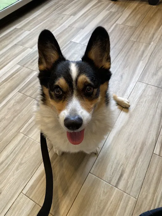 Tenafly Veterinary Center Picture 4