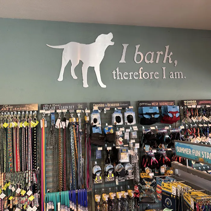 All The Best Pet Care - Lake City Picture 10