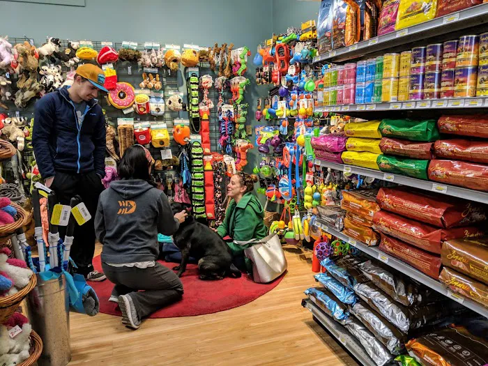 All The Best Pet Care - Lake City Picture 9