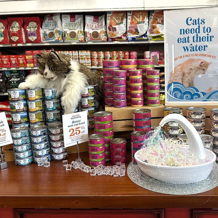 All The Best Pet Care - Lake City Picture 7