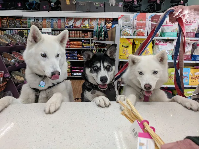 All The Best Pet Care - Lake City Picture 1