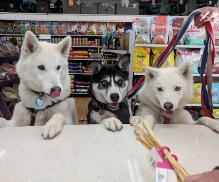 All The Best Pet Care - Lake City