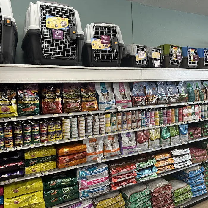 All The Best Pet Care - Lake City Picture 6