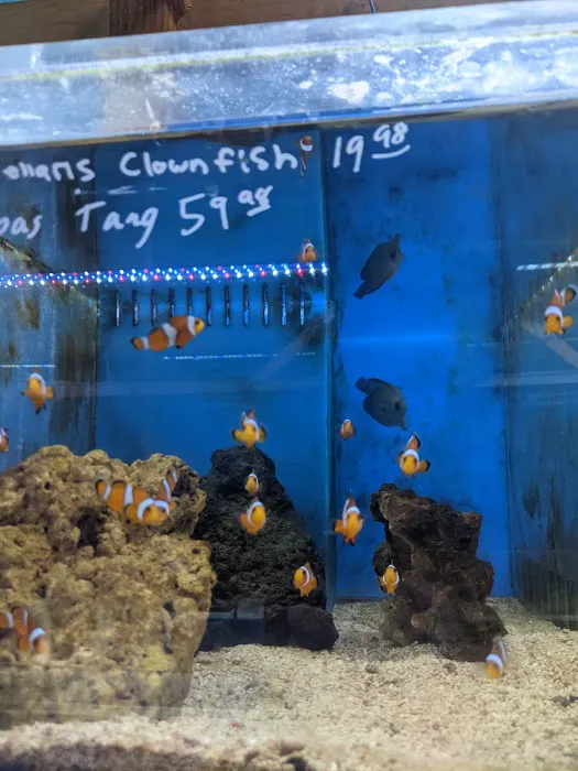 The Fish Store Picture 2
