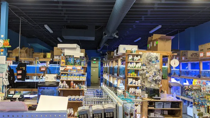 The Fish Store Picture 3