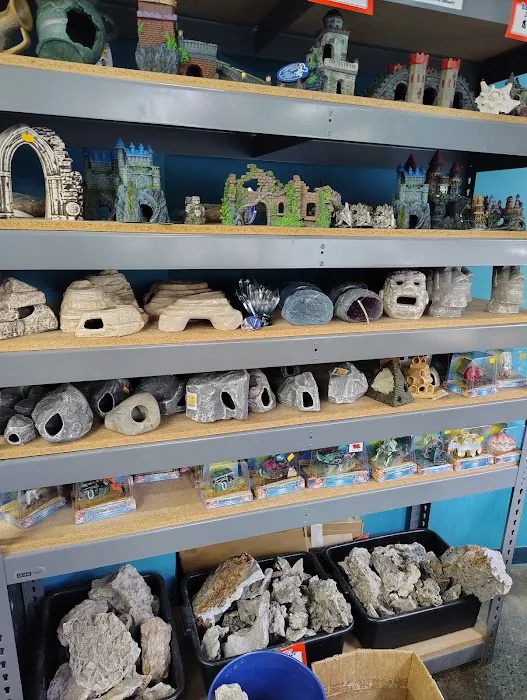 The Fish Store Picture 9