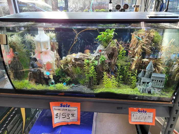 The Fish Store Picture 4