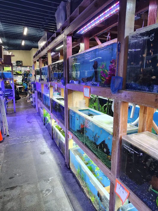 The Fish Store Picture 6