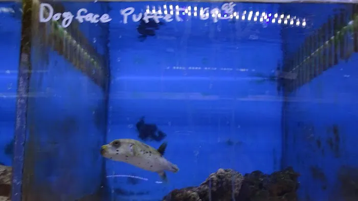 The Fish Store Picture 5