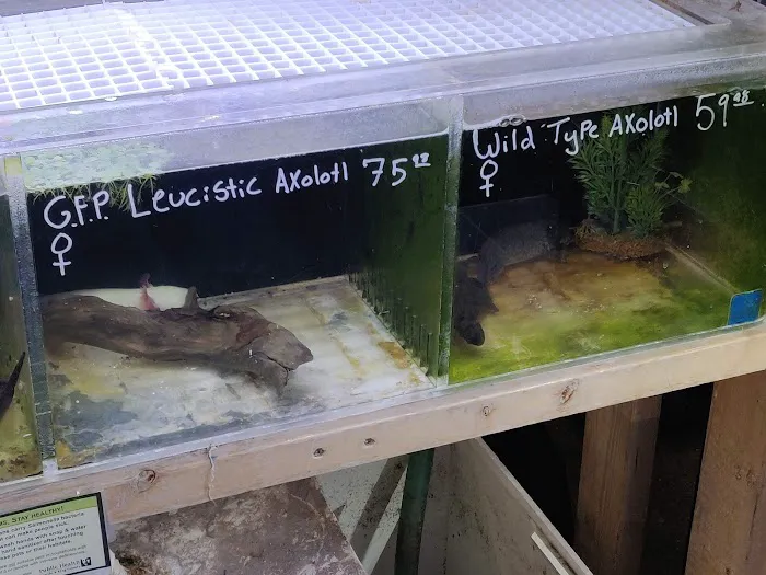 The Fish Store Picture 7