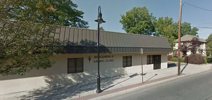 Bergenfield Animal Clinic Picture 7